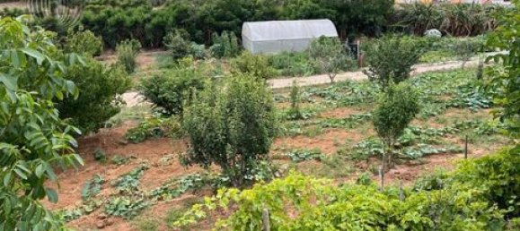 664m² Land in Lourinha, Portugal No. 148908 8