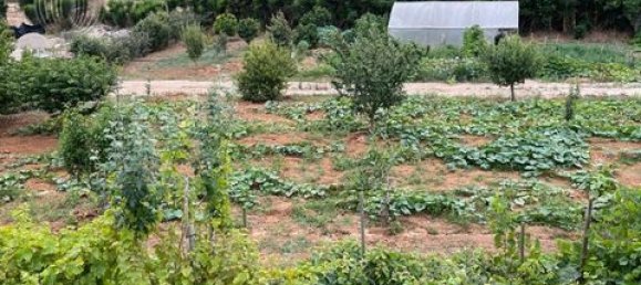 664m² Land in Lourinha, Portugal No. 148908 9