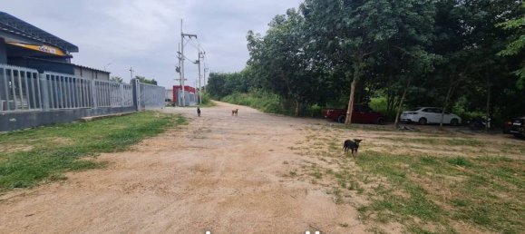 Gewerbliche Immobilie in Pattaya, Thailand, Nr. 16907 6