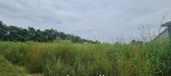 Gewerbliche Immobilie in Pattaya, Thailand, Nr. 16907 3