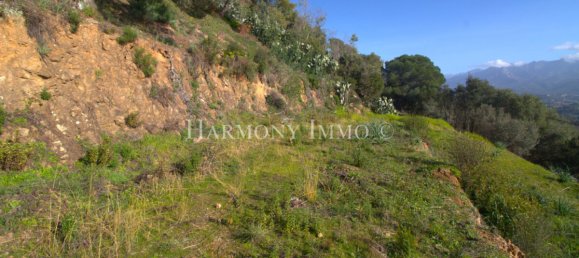 3100m² Land in Afa, France No. 317251 3