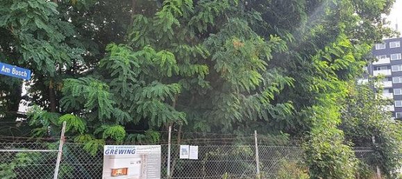 Terrain à Kleve, Germany No. 160768 4