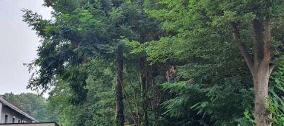 Terrain à Kleve, Germany No. 160768 3