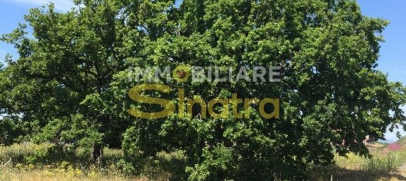 6200m² Land in Belpasso, Italy No. 258846 20