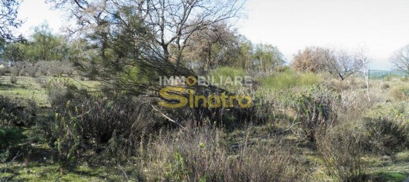 6200m² Land in Belpasso, Italy No. 258846 9