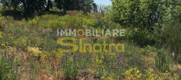 6200m² Land in Belpasso, Italy No. 258846 2