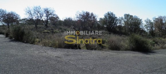 6200m² Land in Belpasso, Italy No. 258846 12