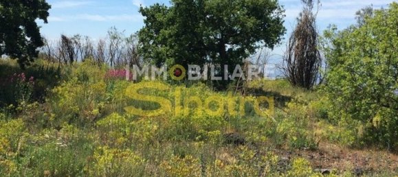 6200m² Land in Belpasso, Italy No. 258846 24