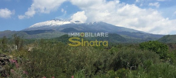 6200m² Land in Belpasso, Italy No. 258846 19