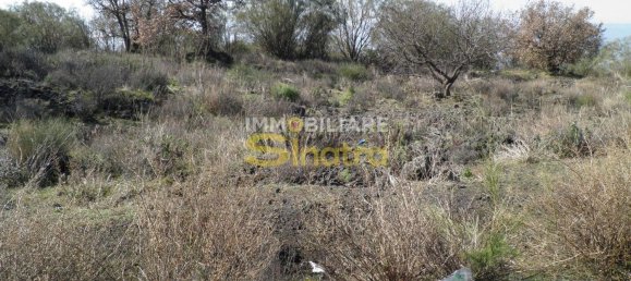 6200m² Land in Belpasso, Italy No. 258846 11