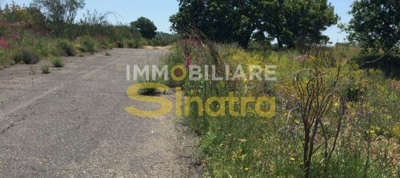 6200m² Land in Belpasso, Italy No. 258846 5