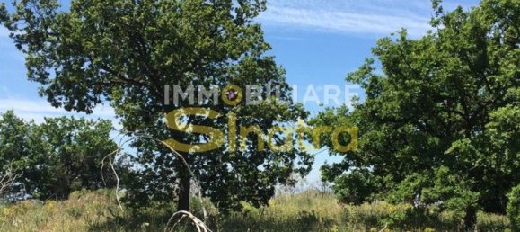 6200m² Land in Belpasso, Italy No. 258846 21