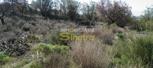 6200m² Land in Belpasso, Italy No. 258846 13