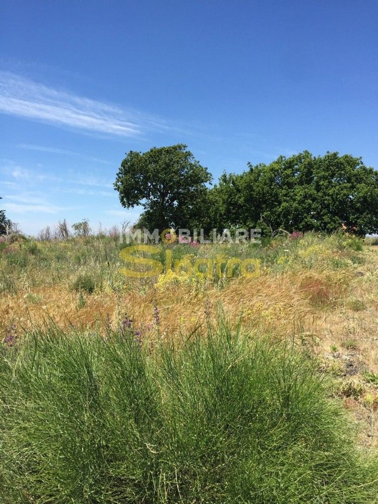 6200m² Land in Belpasso, Italy No. 258846