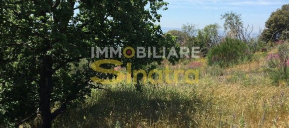 6200m² Land in Belpasso, Italy No. 258846 16