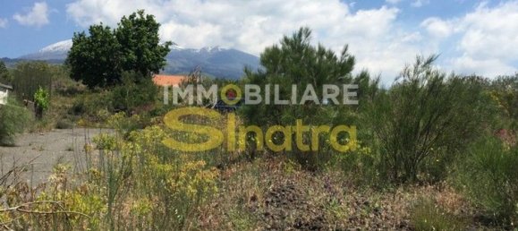 6200m² Land in Belpasso, Italy No. 258846 8