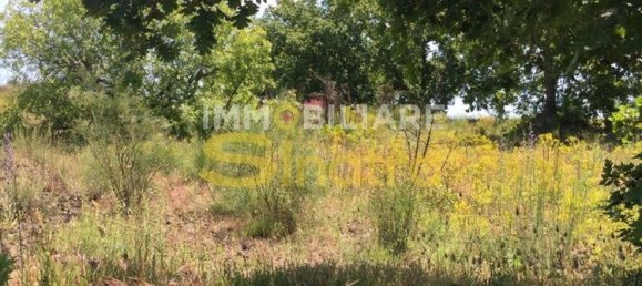 6200m² Land in Belpasso, Italy No. 258846 7