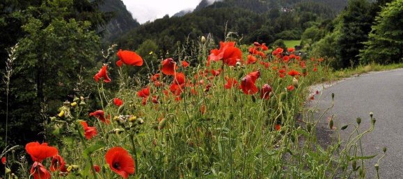 2-Zimmer Wohnung in Finkenberg, Austria, Nr. 151703 38