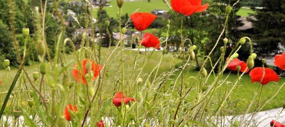 2-Zimmer Wohnung in Finkenberg, Austria, Nr. 151703 39