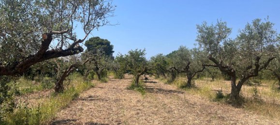 4000m² Land in Castelvetrano, Italy No. 311296 2