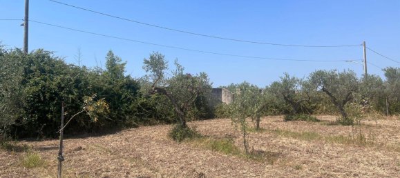 4000m² Land in Castelvetrano, Italy No. 311296 4