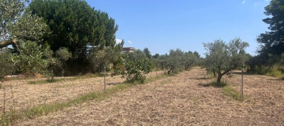 4000m² Land in Castelvetrano, Italy No. 311296 5