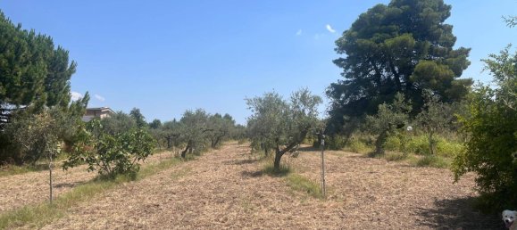 4000m² Land in Castelvetrano, Italy No. 311296 6