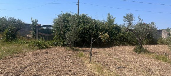 4000m² Land in Castelvetrano, Italy No. 311296 3