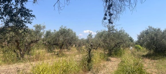 4000m² Land in Castelvetrano, Italy No. 311296 7
