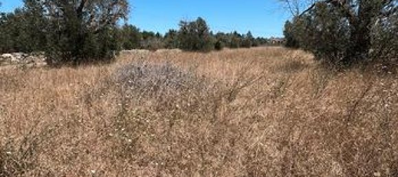 Terreno em Nardò, Italy 5000 m² N.º 302885 4