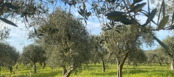 Estúdio em Sassari, Italy N.º 74675 7