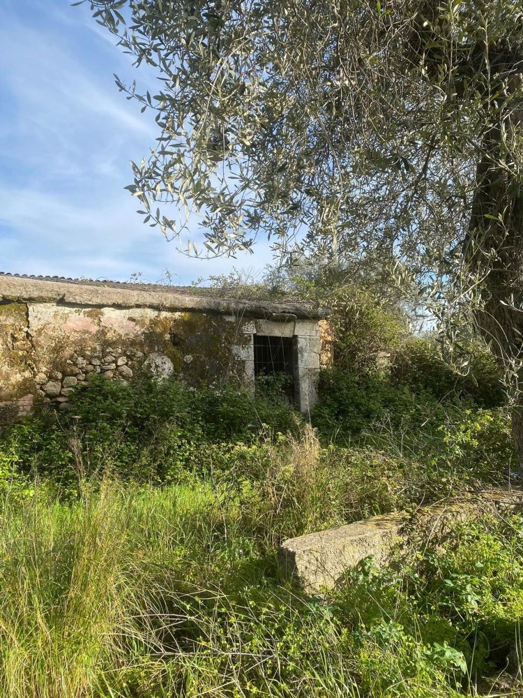 استوديو في Sassari, Italy رقم 74675