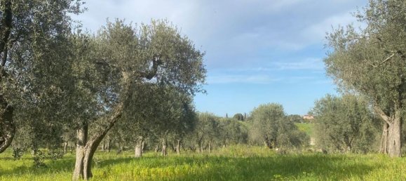 Estúdio em Sassari, Italy N.º 74675 6