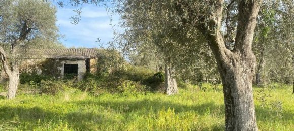 Estúdio em Sassari, Italy N.º 74675 5