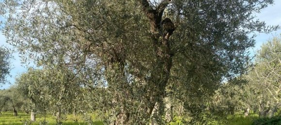 Estúdio em Sassari, Italy N.º 74675 9