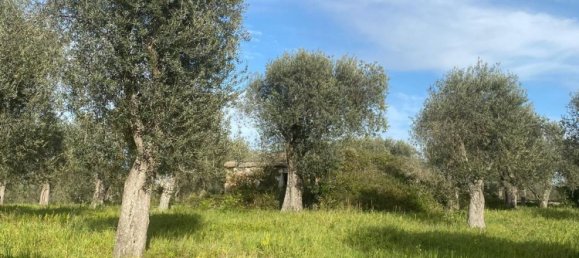 Estúdio em Sassari, Italy N.º 74675 4