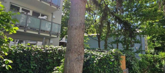 2 rooms Apartment in Nuremberg, Germany No. 268423 2