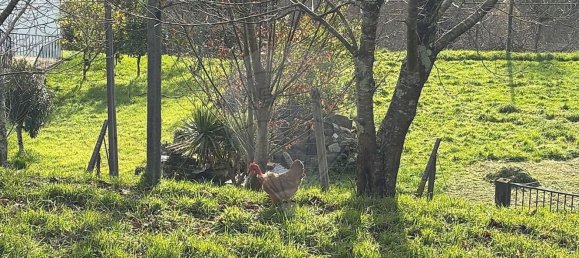 Casa de 3 dormitorios en Arcos de Valdevez, Portugal No. 174866 20