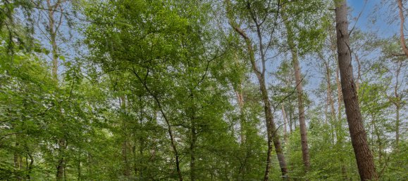 Земельный участок в Cuxhaven, Германия № 249548 4