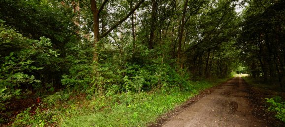 Земельный участок в Cuxhaven, Германия № 249548 6