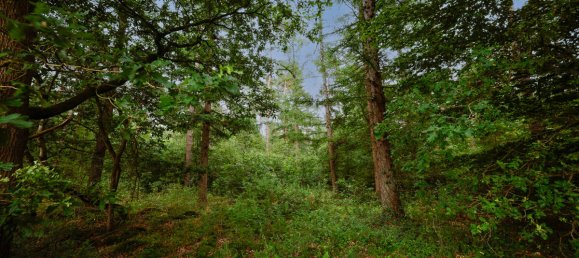Земельный участок в Cuxhaven, Германия № 249548 5