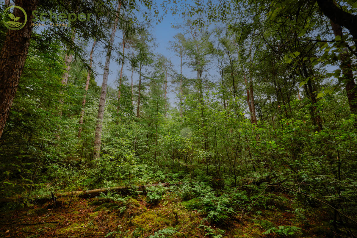 Земельный участок в Cuxhaven, Германия № 249548