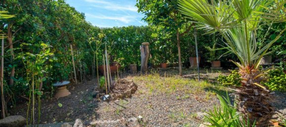 Apartamento de 5 habitaciónes en Rosignano Marittimo, Italy No. 222011 19