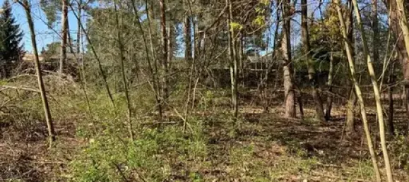 Terreno en Muggelheim, Germany No. 255903 6