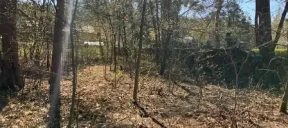 Terreno en Muggelheim, Germany No. 255903 4