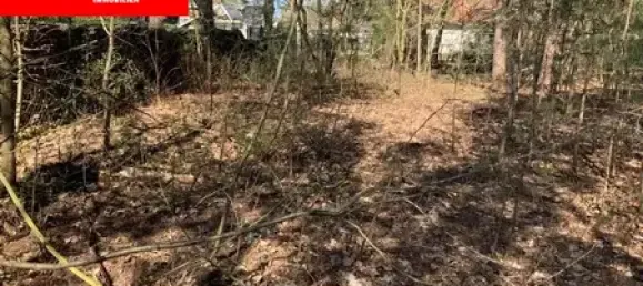 Terreno en Muggelheim, Germany No. 255903 2