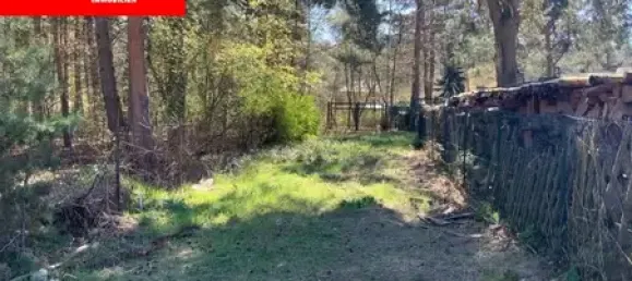 Terreno en Muggelheim, Germany No. 255903 3