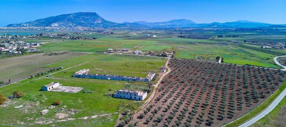 50-Zimmer Haus in Paceco, Italy, Nr. 303785 2