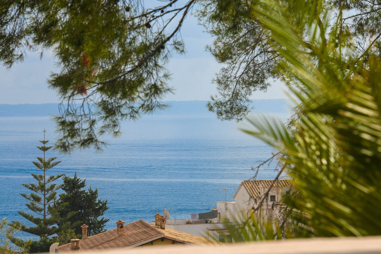 3 غرف نوم شقة في Cas Catala, Spain رقم 29067