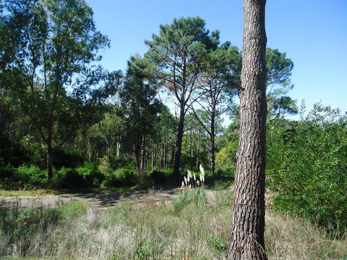  Land in Maldonado, Uruguay No. 14535